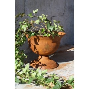 Kruka pokal rost H18x23cm