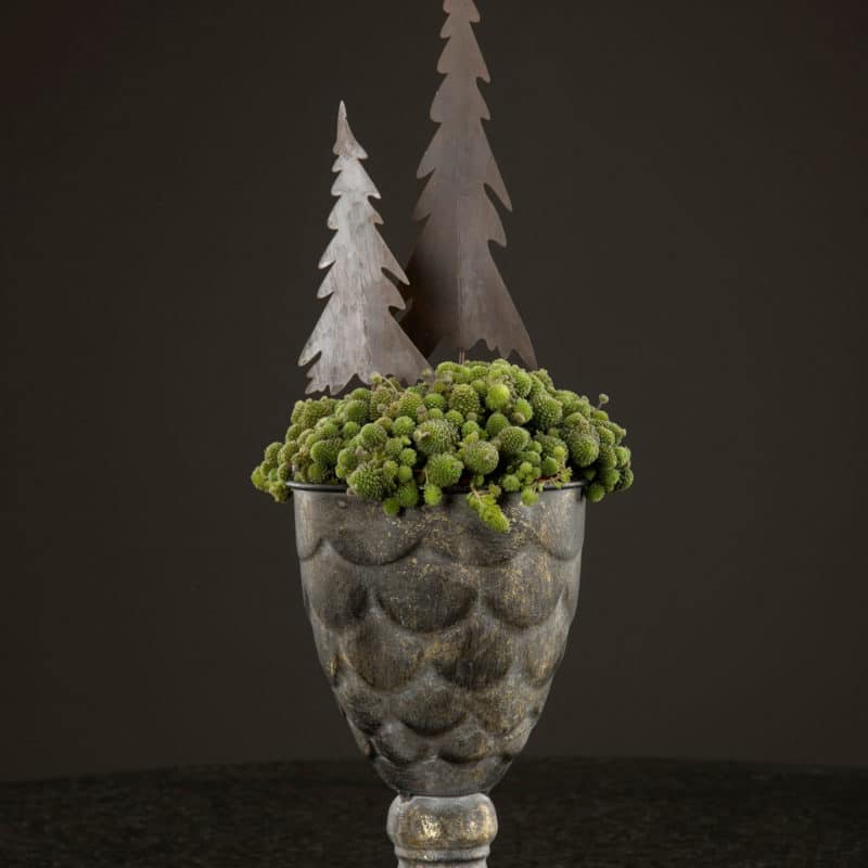 Gran stick rost 18cm