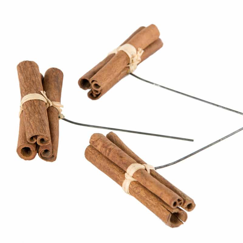 Kanel stick lång