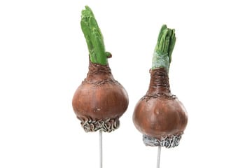 Konstgjord lök 9,5 cm med stick