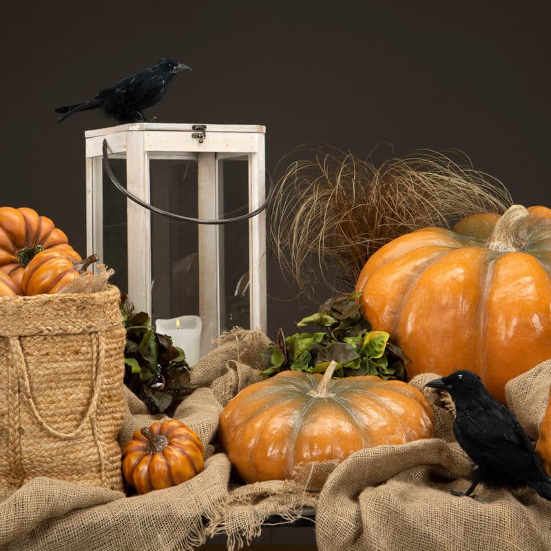 Pumpa naturlig avlång orange