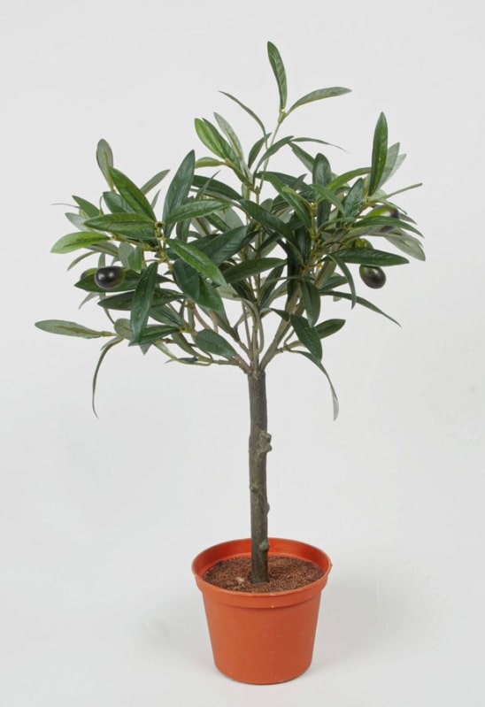 Olivträd UV-beständigt -45cm