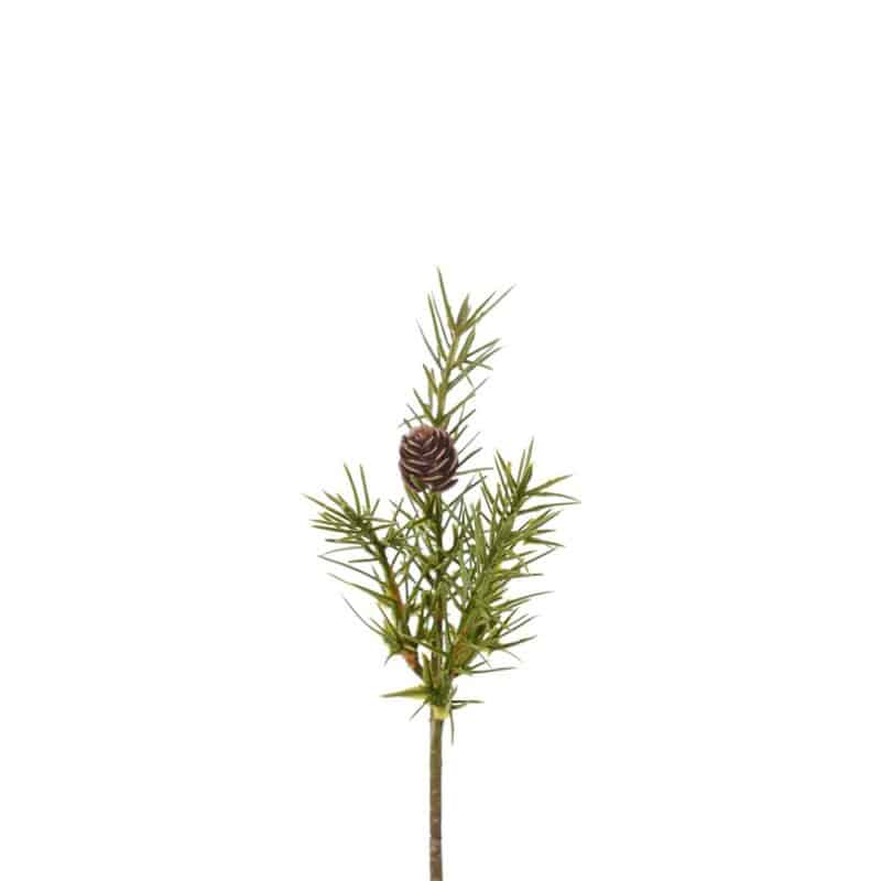 Grankvist med kottar 20cm