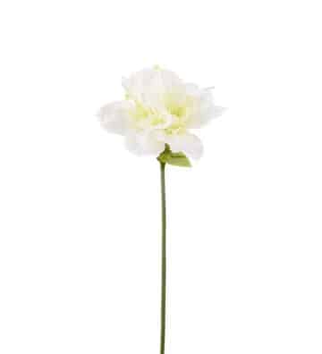 Amaryllis 63cm VIT