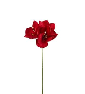 Amaryllis 63cm Julröd