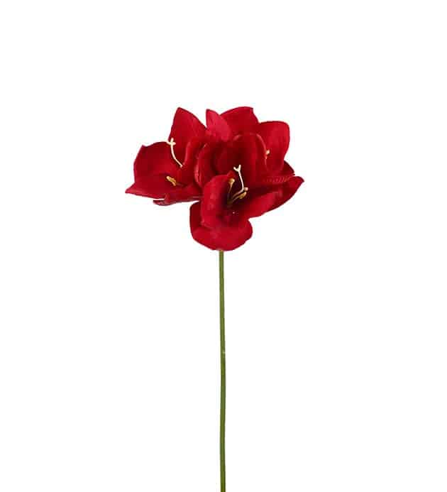 Amaryllis 63cm Julröd