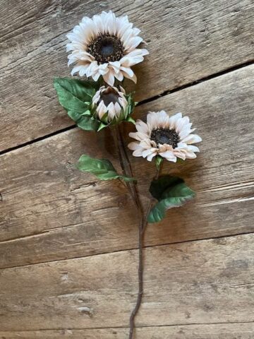 Solros Beige 93cm
