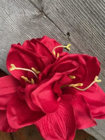Amaryllis 63cm röd - Bild 3