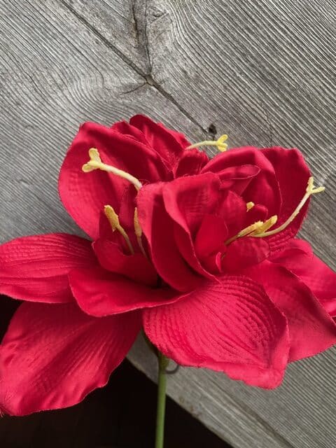 Amaryllis 63cm röd