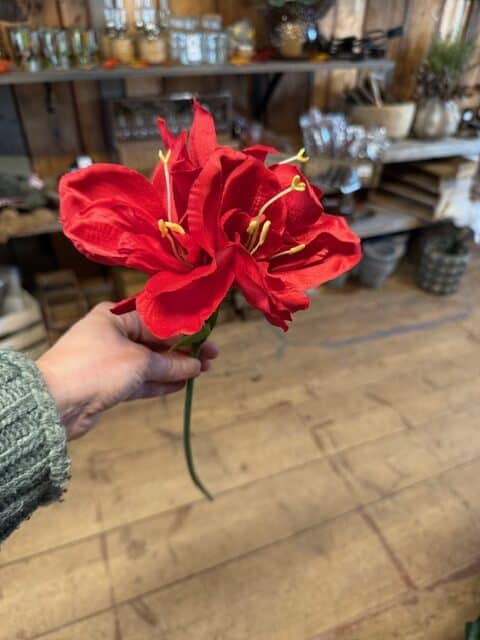 Amaryllis 63cm röd