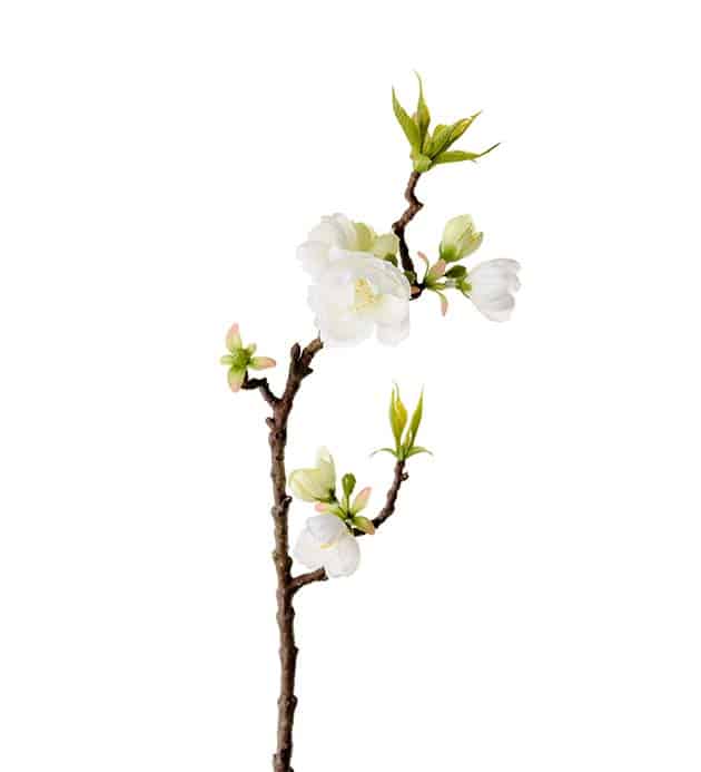 Äppleblom 40cm