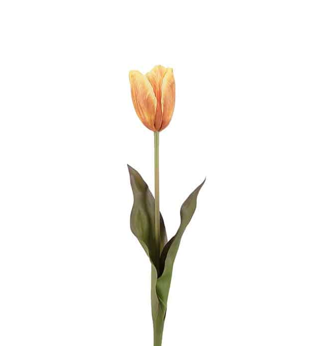 Tulpan Gul/Orange Hög 58cm