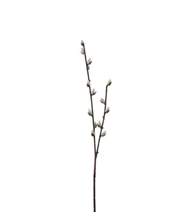 Vide 57cm