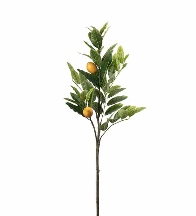 Citrongren 90cm