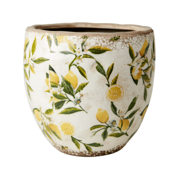 Lemona kruka 17cm