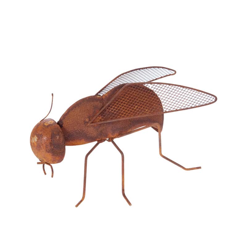 Rostig fluga