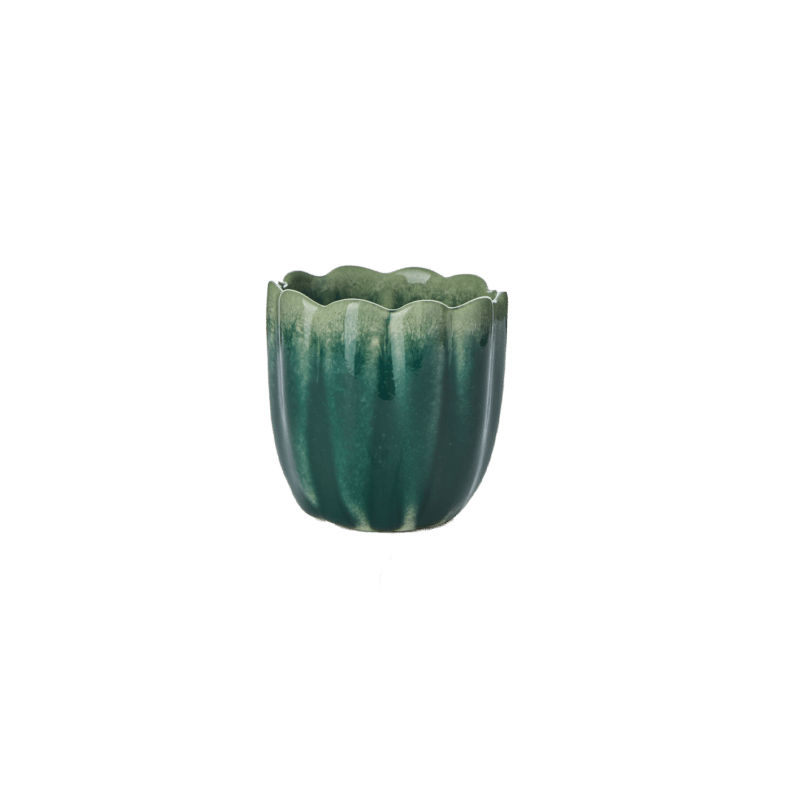 Äggkopp grön