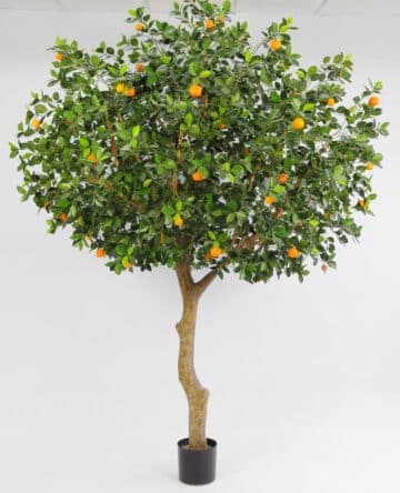 Apelsinträd 350cm med glasfiberstam UV-tåligt