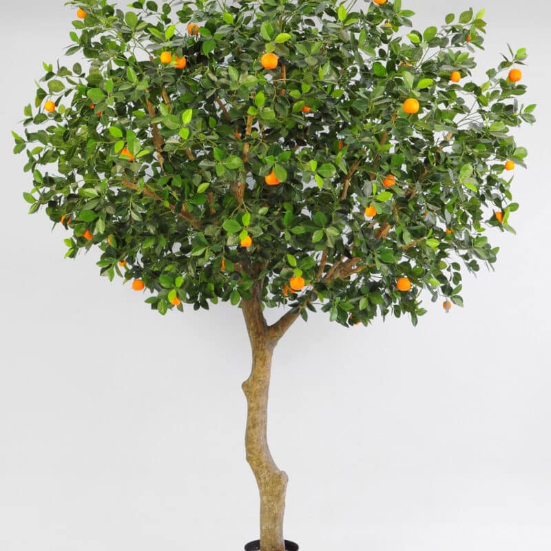 Apelsinträd 350cm med glasfiberstam UV-tåligt