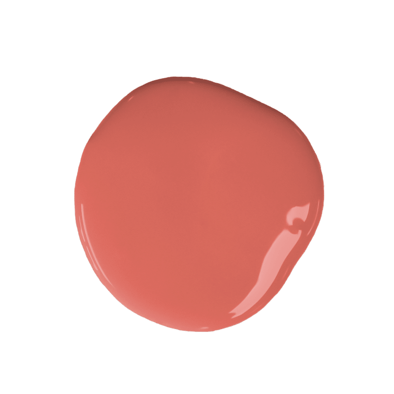 Sandwood Red Chalk Paint™