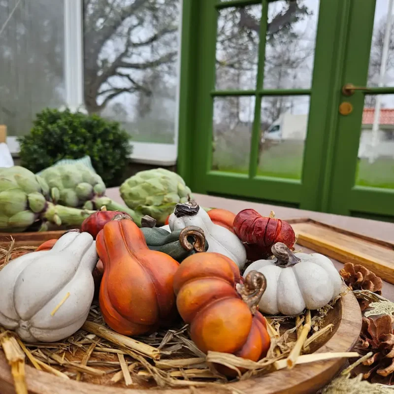 Pumpa liten orange mix