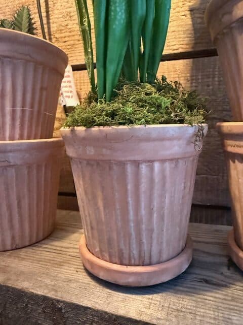 Kruka terra med fat o dräneringshål