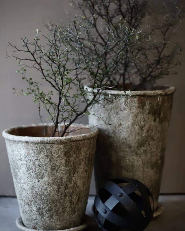 Kruka med fat terrakotta