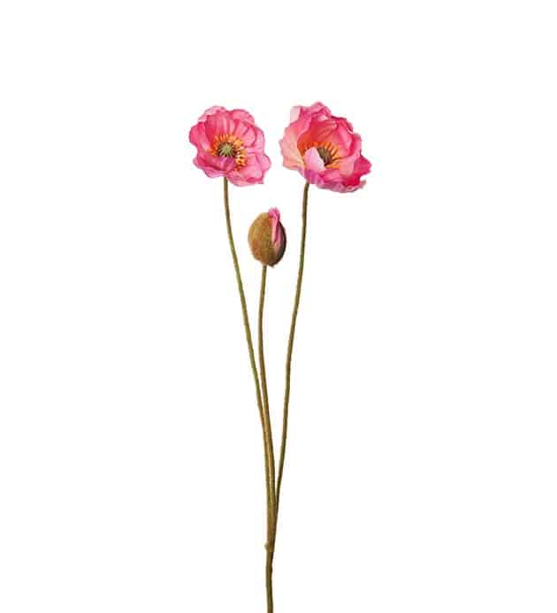 Vallmo rosa snitt 75cm