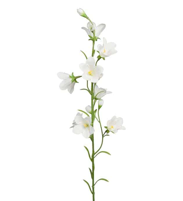 Blåklocka 65cm snitt vit