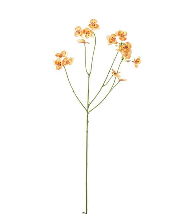 Pensé Snitt 63cm orangegul