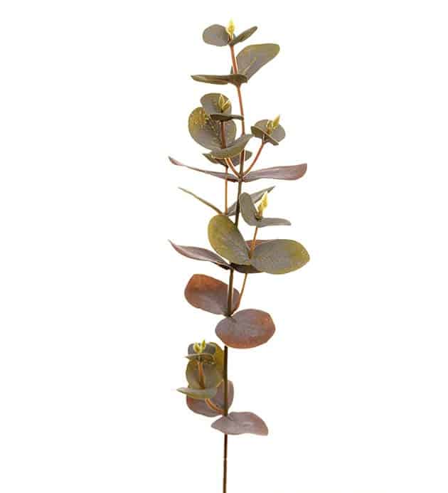 Eucalyptus snitt 40cm