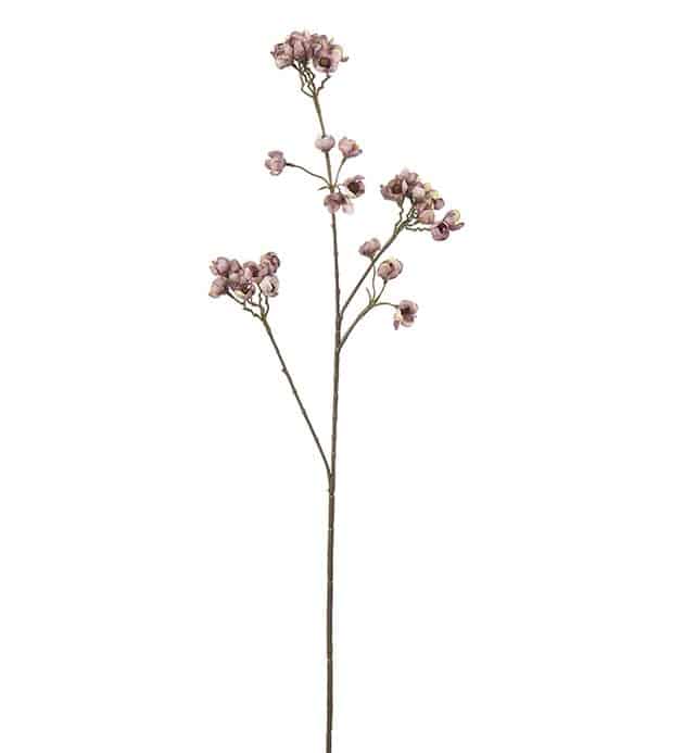 Persikoblom höstig 67cm
